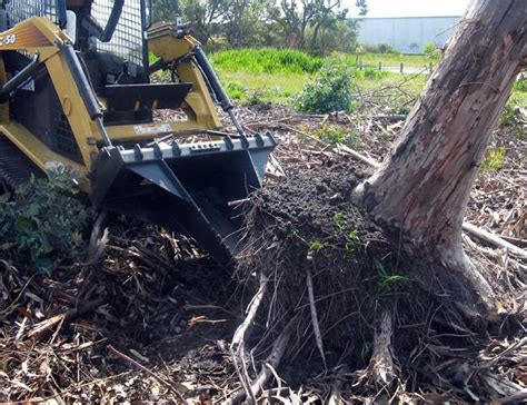 how big of a stump can a skid steer remove|best practices for stump removal.